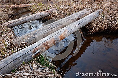 Improvised wooden bridge over small stream in the early spring forest Stock Photo