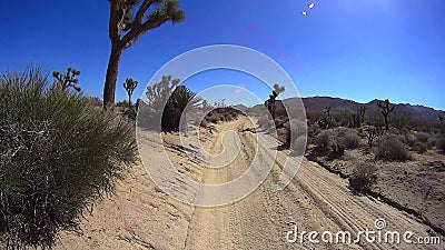 Impulsión Joshua Tree Park California del desierto almacen de video Impulsión Joshua Tree Park California del desierto almacen de video