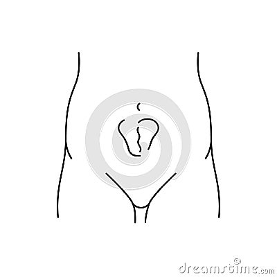 Incisional hernia line icon. Vector isolated element. Vector Illustration