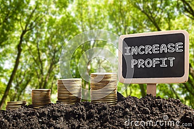 Increase Profit - Financial opportunity concept. Golden coins in soil Chalkboard on blurred natural background Stock Photo