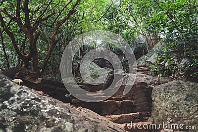 Walking up the Pidurangala Rock. Beautiful Stairway leading through a forest. Stock Photo