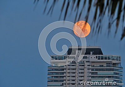 The incredible and mistery moon Stock Photo