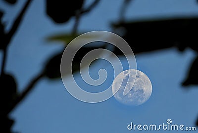 The incredible and mistery moon Stock Photo