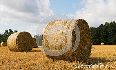 Incredible view of a round bale of straw in the meadow Stock Photo