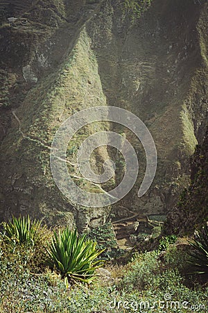 Incredible view of the steep mountain and path to green ravine. Huge agave plants in foreground in warm sunrays light Stock Photo