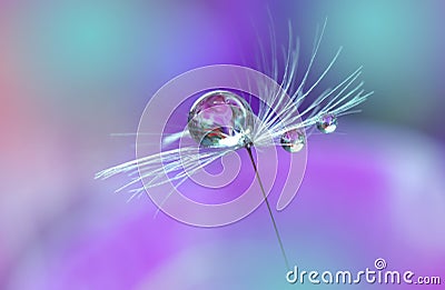 Beautiful Violet Nature Background.Art Photography.Floral Design.Colorful Abstract Macro.Water Drop.Relaxation.Flowers.Wallpaper. Cartoon Illustration