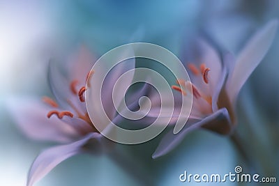 Beautiful Green Nature Background.Abstract Artistic Wallpaper.Art Macro Photography.Spring Flowers.Amazing Floral Photo.Soft focus Cartoon Illustration