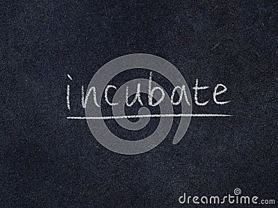 Incubate Stock Photo