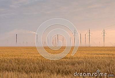 Indastrial dawn and wheat fields Stock Photo