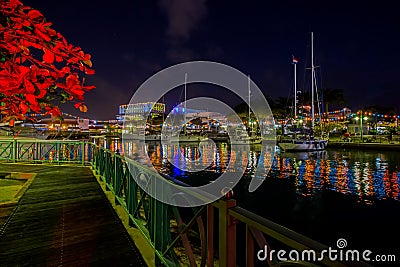 Independence and Christmas lights in Bridgetown, Barbados Editorial Stock Photo