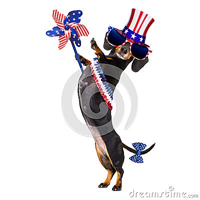 Independence day 4th of july dog Stock Photo