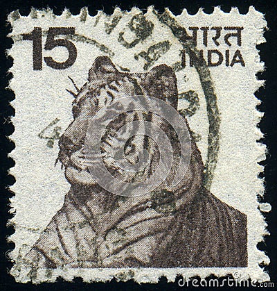 INDIA - CIRCA 1975: stamp printed in India, shows animal Tiger Panthera tigris, circa 1975 Editorial Stock Photo