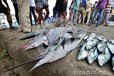 India, fish market Editorial Stock Photo