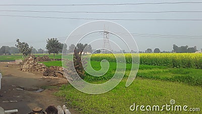 India Haryana former house field in green grass field in high voltage Tower Stock Photo