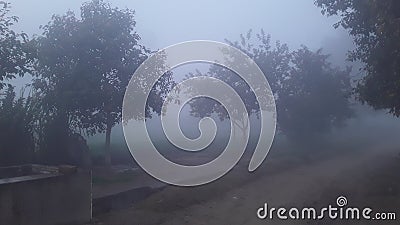 India Haryana in today fog in morning cool seasion Stock Photo