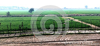 India - pakistan border view. Stock Photo