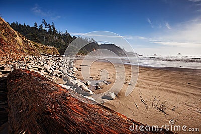 Indian Beach in Oregon Stock Photo
