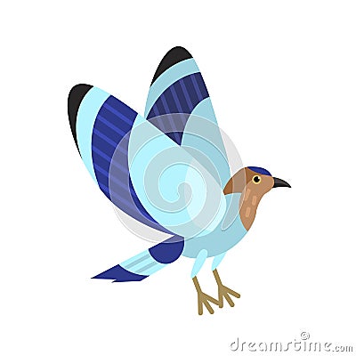 Indian blue roller isolated on white background. Gorgeous exotic tropical bird with bright colored plumage. Cute birdie Vector Illustration