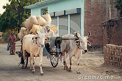 Indian bullock cart or ox cart Editorial Stock Photo