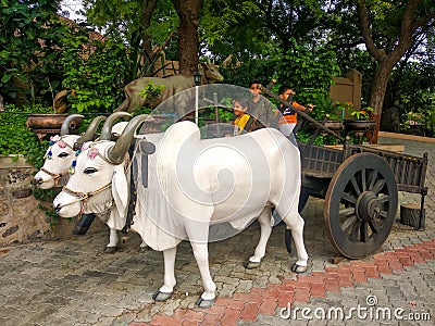 Indian children playing in a beautiful bullock cart at shree swaminarayan temple kundaldham, gujarat,india Editorial Stock Photo