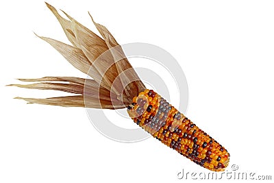 Indian Corn Stock Photo