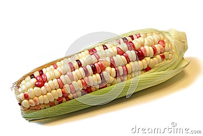 Indian corn Stock Photo