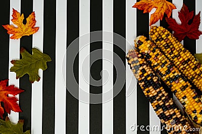 Indian corn husks and kernals. Colorful vegetable, useful for fall concepts Stock Photo