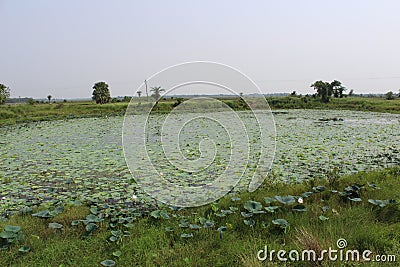 Indian countryside Stock Photo