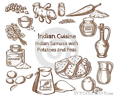 Indian cuisine Samosa with Potatoes and peas Ingredients Vector Illustration