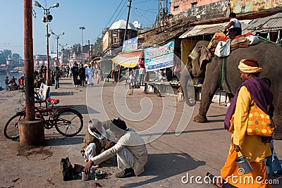 Indian elephant walking along a barber Editorial Stock Photo