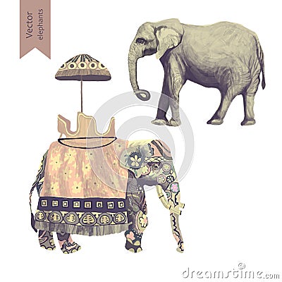 Indian elephants illustrations set. Isolated on white. Vector Vector Illustration