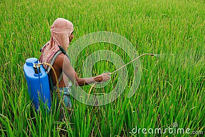 Indian farmer Editorial Stock Photo