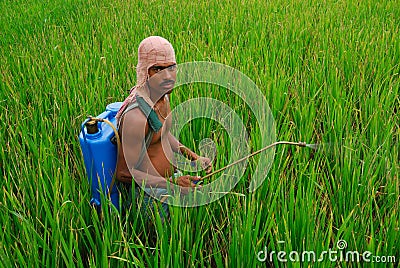 Indian farmer Editorial Stock Photo
