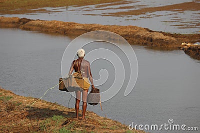 Indian Farmer on Wet Koal lands -Kerala Editorial Stock Photo
