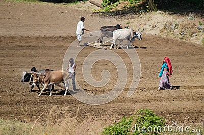 Indian Farmer family in the field Editorial Stock Photo