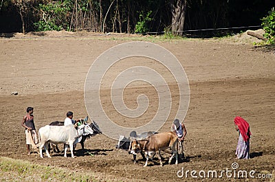 Indian Farmer family in the field Editorial Stock Photo