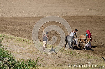 Indian Farmer family in the field Editorial Stock Photo