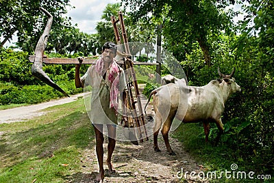 Indian Farmer Editorial Stock Photo