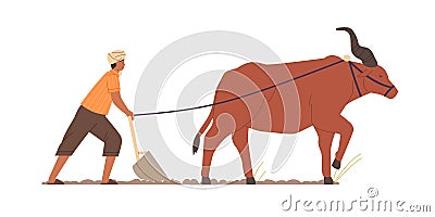 Indian farmer plowing with traditional primitive plough and ox. Farm worker and zeby on agriculture field in India. Man Vector Illustration