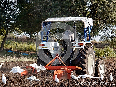 Indian farmer with tractor preparing land for sowing with cultivator, an indian farming scene Editorial Stock Photo