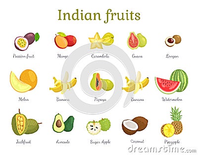 Indian Fruits Set India Food Vector Illustration Vector Illustration