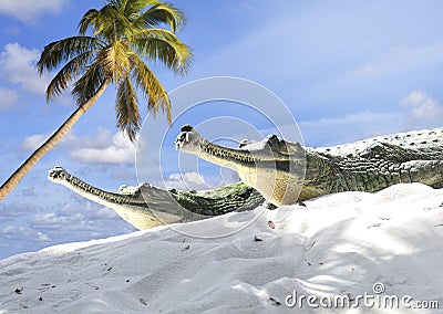Indian Gharial Crocodiles Stock Photo