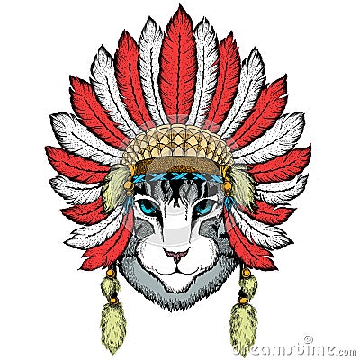 Face of domestic cat. Portrait of animal. Cute kitty, kitten. Indian headdress with feathers. Boho style. Stock Photo