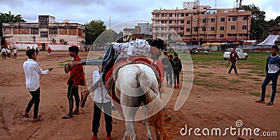 An indian house rider falling down at racing ground Editorial Stock Photo