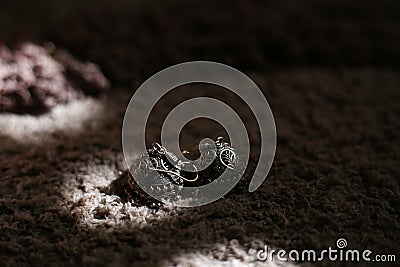 Indian Jewelry of Jumka for girls, Wedding ornament Stock Photo