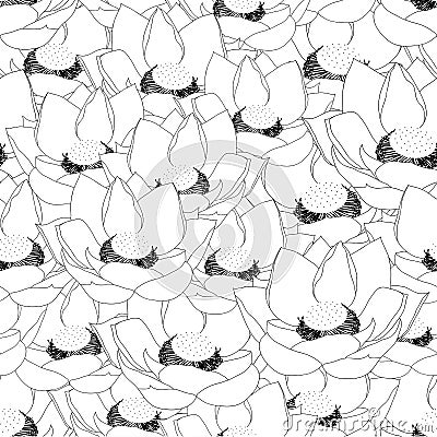 Indian lotus Outline Seamless Background. Vector Illustration