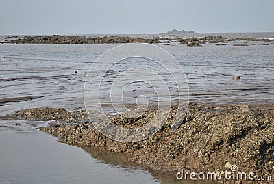 Indian maharshtra ocean with stone Stock Photo