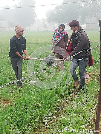 Indian male farmers changing crops Editorial Stock Photo