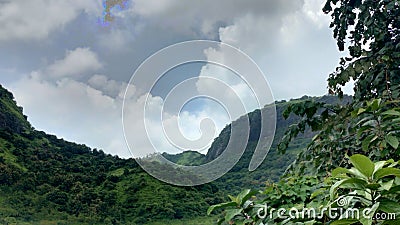 Indian mountain nature and forest Stock Photo