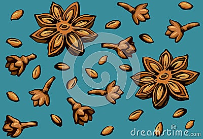 Anise. Vector drawing Vector Illustration